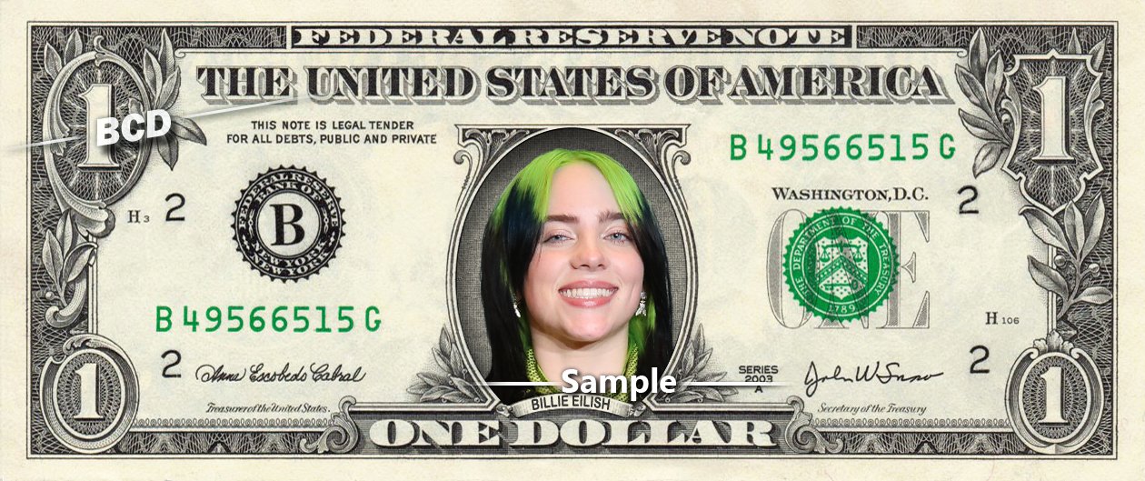 Rare Billie Eilish Dollar Bill Bucket Hat New Era