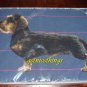 New Dachshund Dog Decorative Pillow Cover Iosis Yves Delorme Lancelot Blue French Woven Tapestry