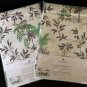 New Pair Yves Delorme Mousson 2 King Shams Cases Tropical Floral Palms Toile France