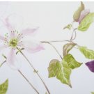 Yves Delorme Clematis Silk Blend 18x18" Decorative Pillow Cover Floral Embroidery Yves Delorme Clematis Silk Blend 18x18" Decorative Pillow Cover Floral Embroidery