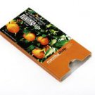 Sugar Free chewing gum with mastiha and Tangerine (10 pcs blister )