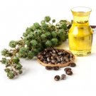 Castor Oil 100ml