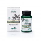 MASTICaps – Capsules with 330mg Chios natural mastic. 60 capsules