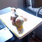Ty Stuffed Animal Multicolor iguana