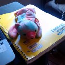 Ty Stuffed Animal Multicolor Bear