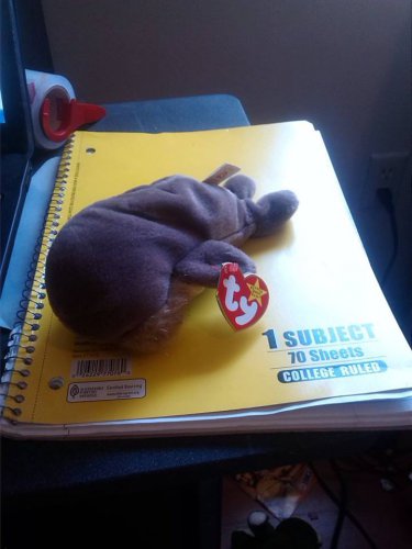 Ty Stuffed Animal Gray Walrus