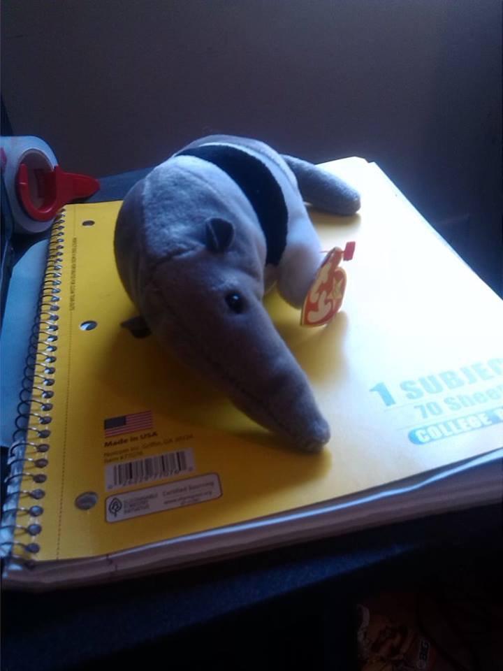 stuffed anteater toy