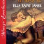 Unbridled and Undone (Double Rider Men's Club 1) by Elle Saint James