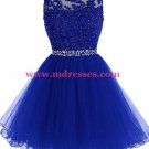 Beaded Short Royal Blue Lace Appliques Tulle Prom Evening Homecoming Cocktail Dresses 128 Beaded Short Royal Blue Lace Appliques Tulle Prom Evening Homecoming Cocktail Dresses 128