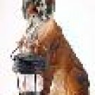 1 Case Solar Garden Lantern  Light  BoXeR DoG