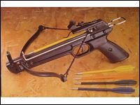 50 lb Crossbow Archery Pistol - FREE Shipping