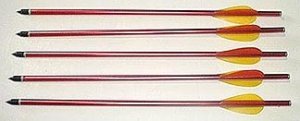 1Pack - 5 Bolts Arrows - FREE Shipping