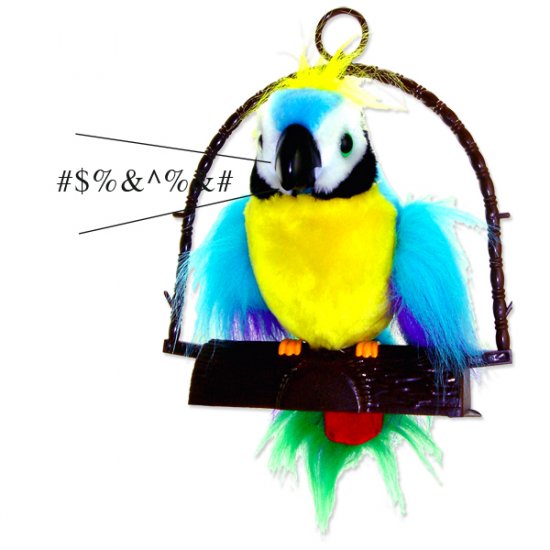 Loud-Funny-Wild Polly The Insulting Parrot