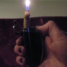 Gag Pop Up Talking Penis Lighter 1case (24)