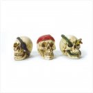 Set of 3 Mini Skeleton Busts