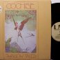 Cochise - Swallow Tales - Vinyl LP Record - Rock