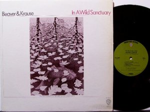 Beaver & Krause - In A Wild Sanctuary - Vinyl LP Record - MC Escher Art - Synth Rock