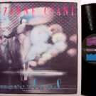 Ciani, Suzanne - Neverland - Vinyl LP Record - New Age Female Jazz