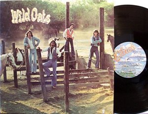 Wild Oats - Self Titled - Vinyl LP Record - Florida Pop Rock