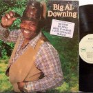Downing, Big Al - Self Titled - Vinyl LP Record - Country