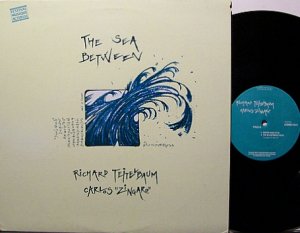 Teitelbaum, Richard / Carlos Zingaro - The Sea Between - Vinyl LP Record - Avant Garde Improv Jazz