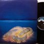 Winter, Edgar - With Rick Derringer - Vinyl LP Record - Rock