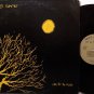 Weird Summer - Cry For The Moon - Vinyl LP Record + Insert - Rock