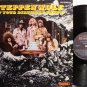 Steppenwolf - At Your Birthday Party - Vinyl LP Record - Rock