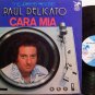 Delicato, Paul - The Disco Sound / Cara Mia - Vinyl LP Record - Pop Rock