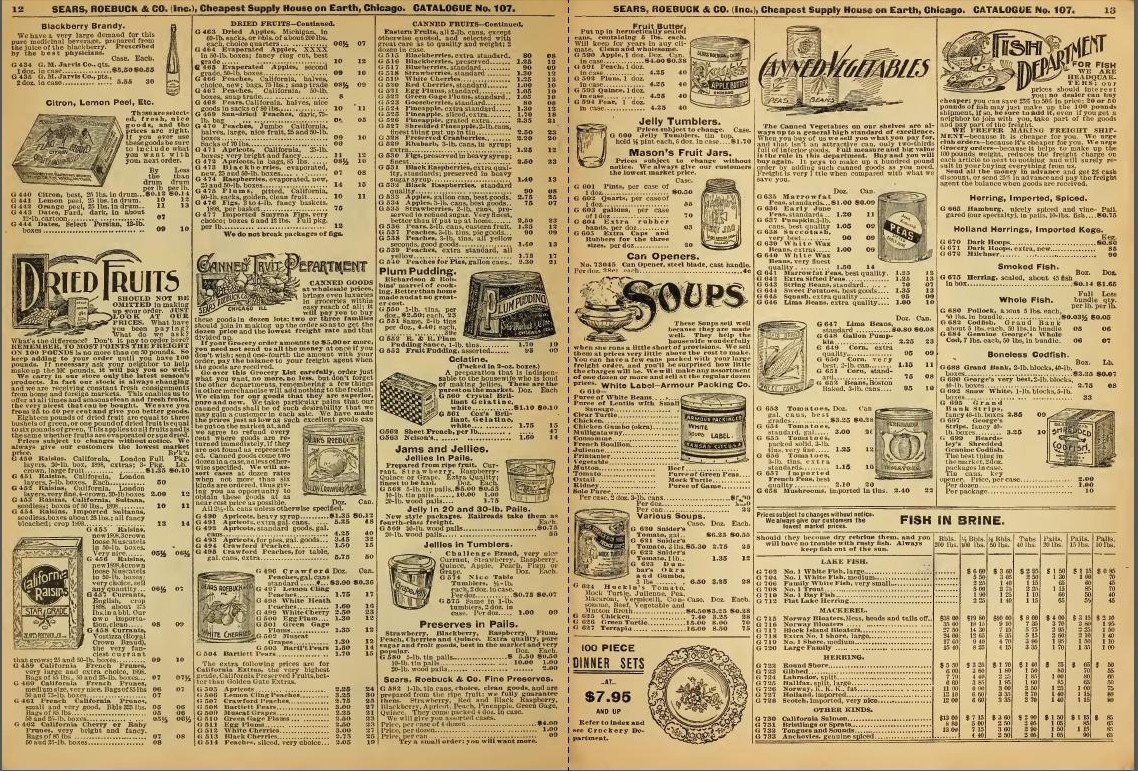 1898 Number 107 Sears Roebuck Old Vintage Consumer Guide Catalogue Book