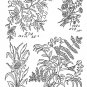 Thousands Of Illustration Sewing Stamping Patterns Book CD Embroidery Painting