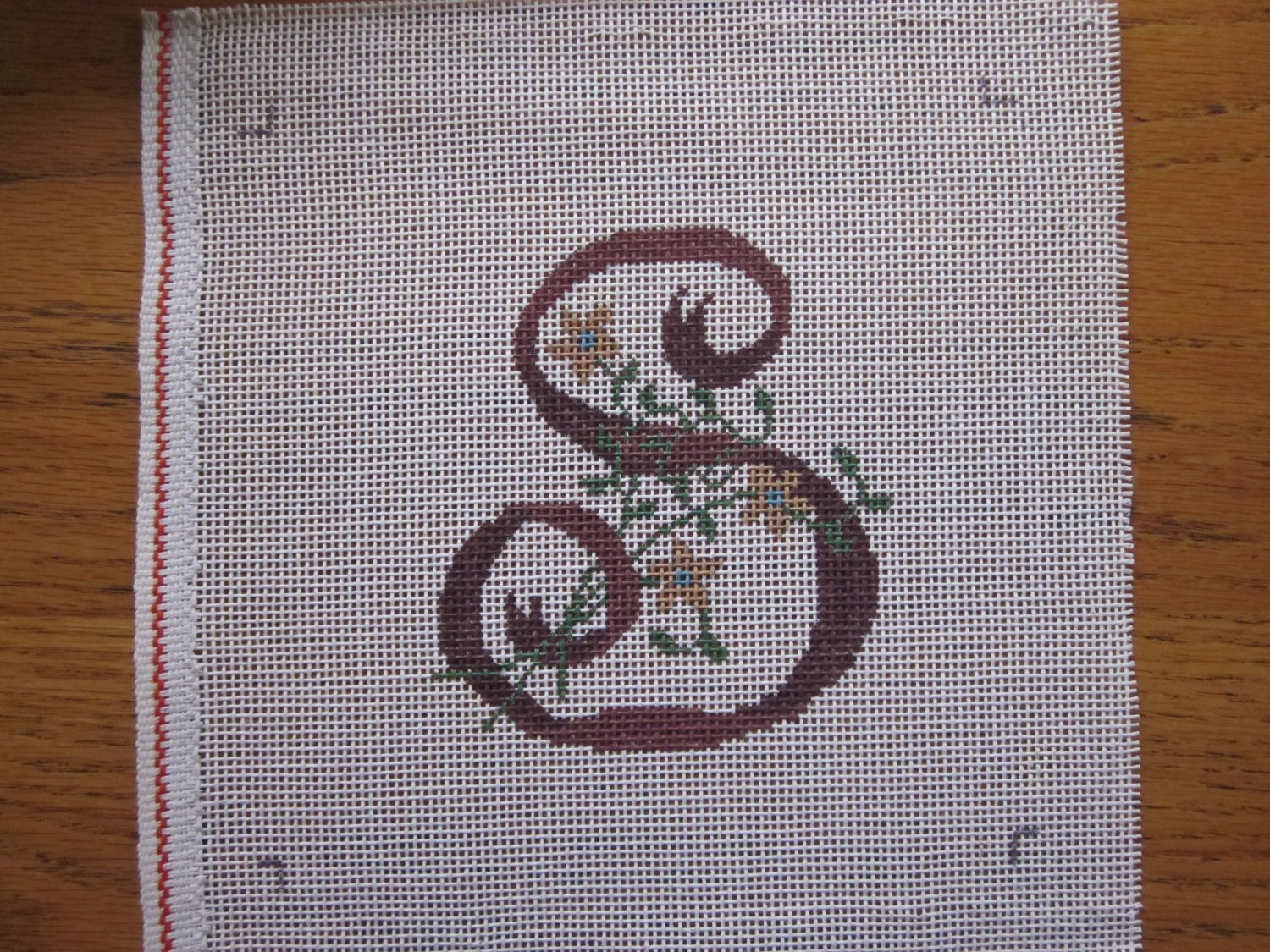 Needlepoint Canvas Letter S
