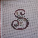 Needlepoint Canvas Letter S 