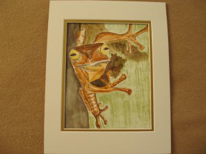 Frog on tree Watercolor