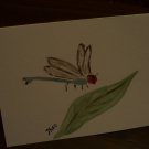 Greeting Blank Card with dragonfly