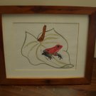 Watercolor Tree frog original