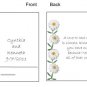 Daisy Chain mintbook / mint matchbook