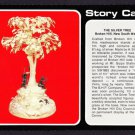 A9857pac Australia NSW The Silver Tree Broken Hill  postcard