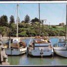 A3334 Australia SA Boats Lake Butler Robe postcard