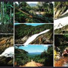 A3180 Australia Q Creb Trail Daintree  postcard