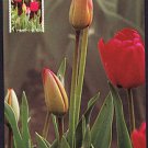 C0715aps Maxi Australia Thinking Of You Tulip Flower 45c stamp postcard