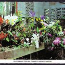 A2815 Australia Q Orchid Gardens Tinaroo postcard