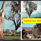 A9837pac Australia Gen Australian Scenes Gum Tree postcard