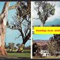 A9837pac Australia Gen Australian Scenes Gum Tree postcard
