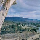 A2655pac Australia Gen Landscape River postcard