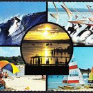 B0364cgt Australia Gen Fun In the Sun Beach Scenes postcard