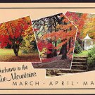A2610 Australia NSW Autumn in the Blue Mountains postcard