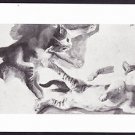 A1184 Art Sketches of a Kitten postcard