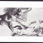 A1184 Art Sketches of a Kitten postcard