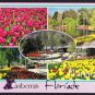 A1617 Australia ACT Canberra's Floriade postcard